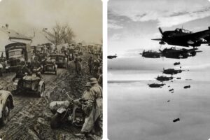 rotterdam, bombardement, planes, ww2